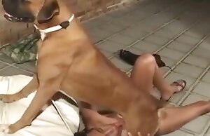 Giấc mơ về tình dục giữa chó và ngựa của người phụ nữ Latina đã trở thành sự thật